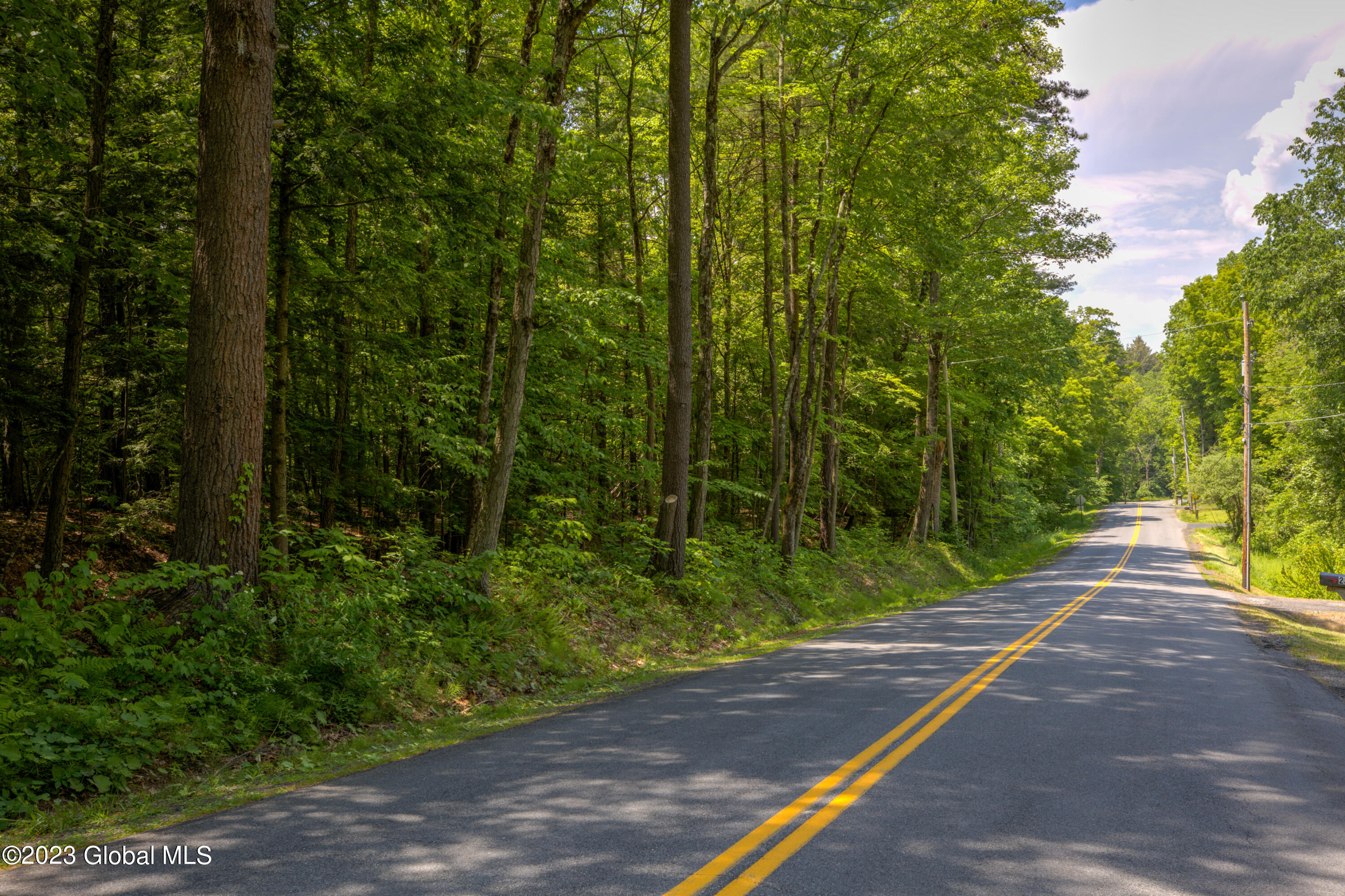L23 Luther Road Saratoga Springs, NY 12866 - Photo 17 of 18 roadside
