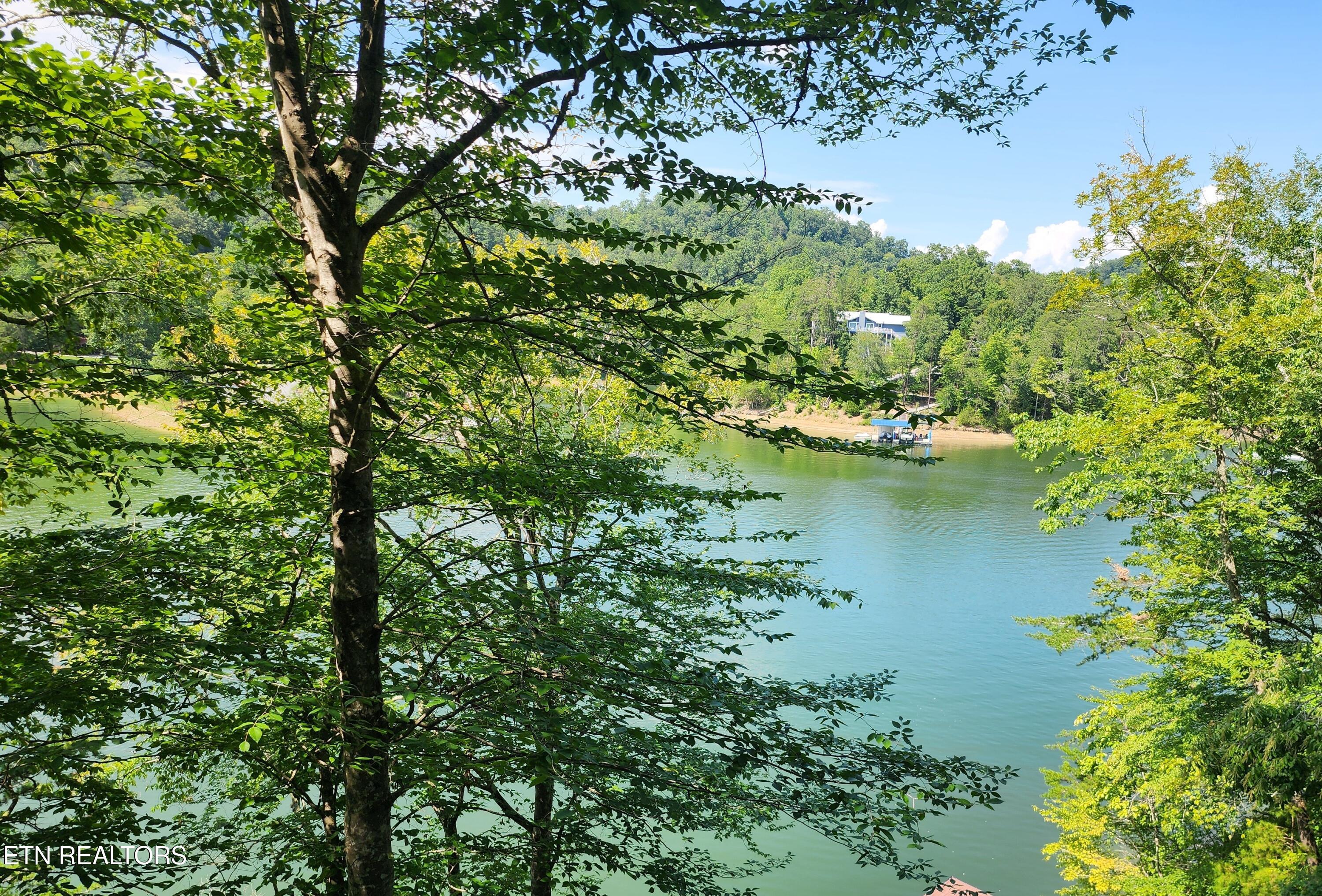 26 Rockfish Point New Tazewell, TN 37825 - Photo 2 of 12 A great view potential