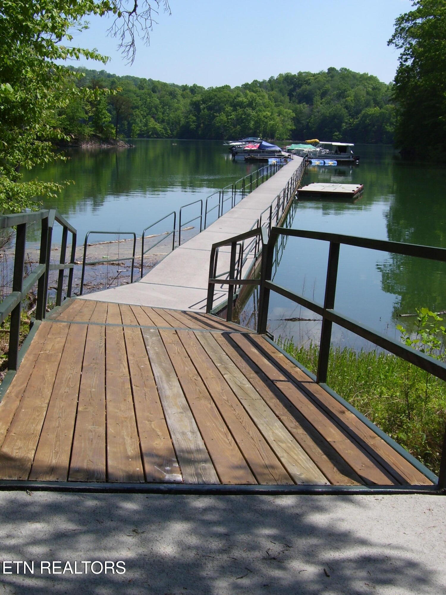 26 Rockfish Point New Tazewell, TN 37825 - Photo 10 of 12 No fee marina slips!