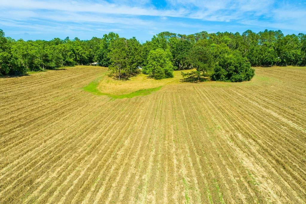 20000 Lawrence Road Fairhope, AL 36532 - Photo 6 of 10