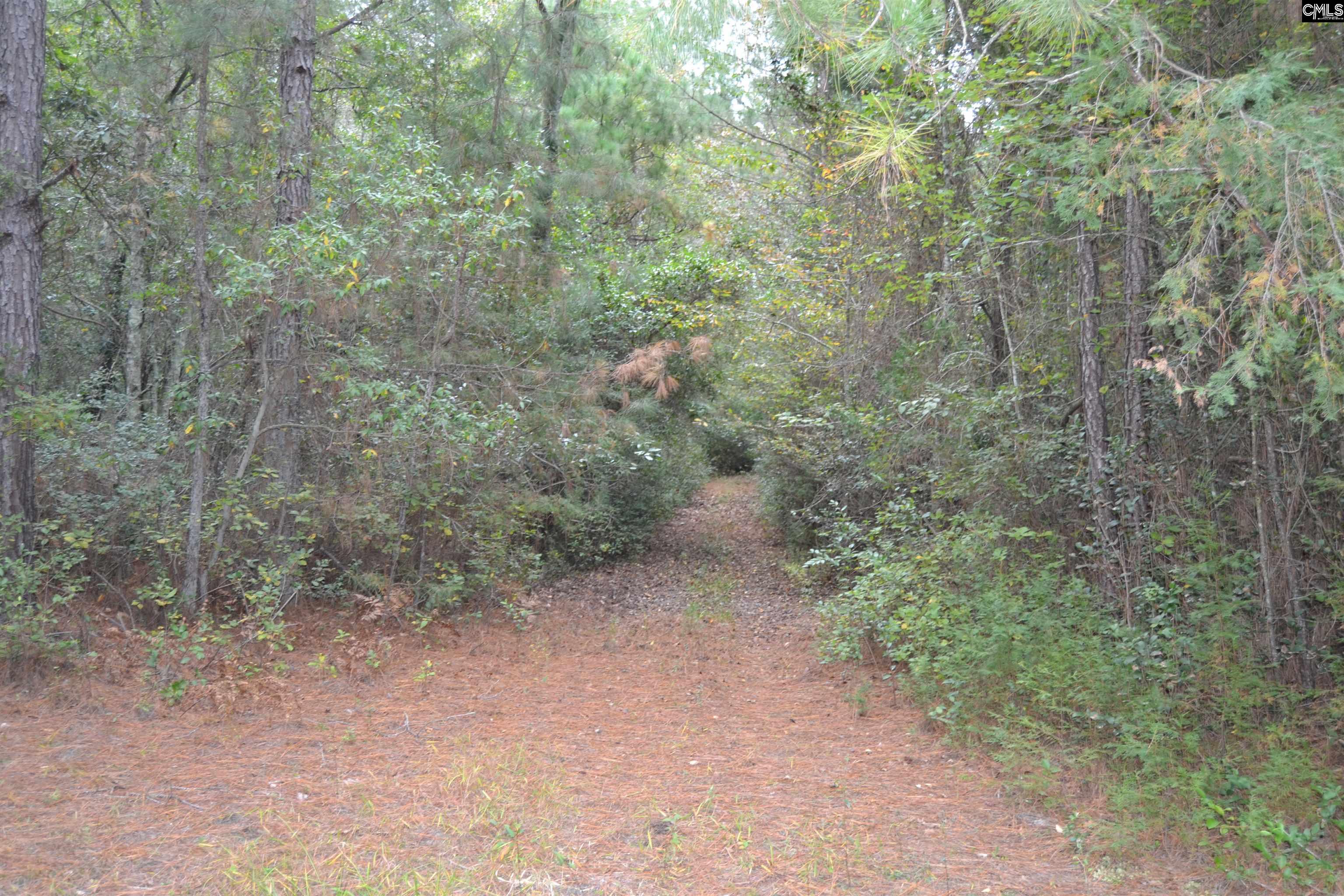 477 Thor Road Pelion, SC 29123 - Photo 12 of 21
