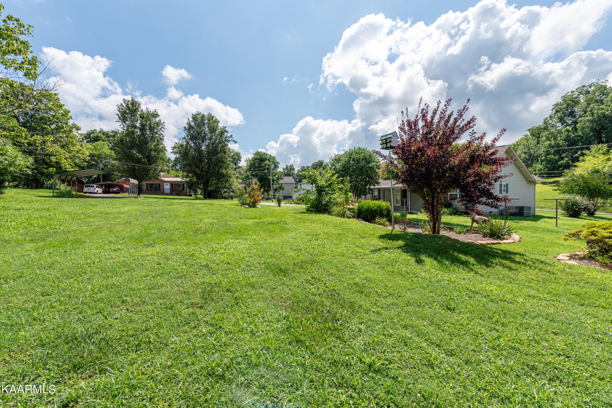 1613 Sevierville Road Maryville, TN 37804 - Photo 41 of 50 a view of a park with large trees