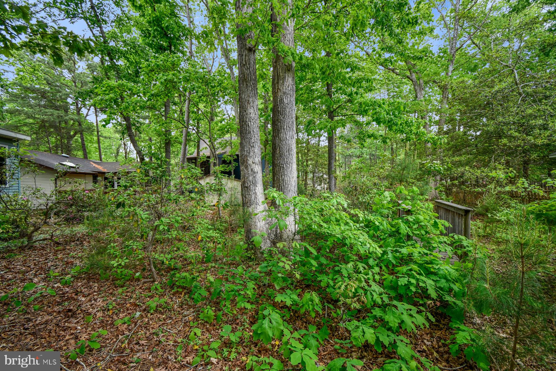 70 Capetown Road Ocean Pines, MD 21811 - Photo 24 of 48 Lush greenery surrounds tranquil retreat.