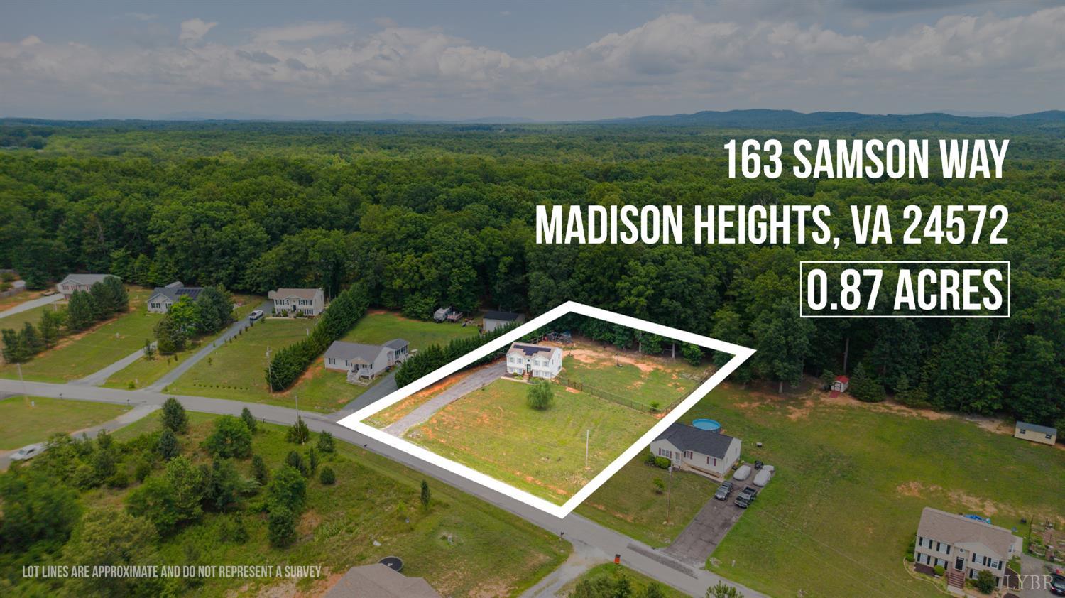 163 Samson Way Madison Heights, VA 24572 - Photo 41 of 54