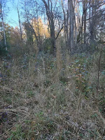 $18,500 | 0 Graham Chapel Road, Cowpens, SC 29330