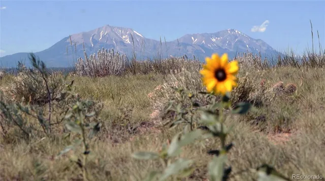a view of outdoor space and yard