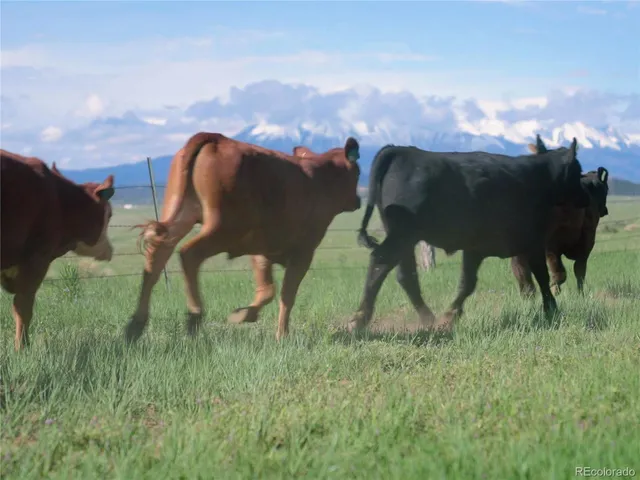 $5,585,000 | 0 Cr 230 Walsenburg Co 81089, Walsenburg, CO 81089