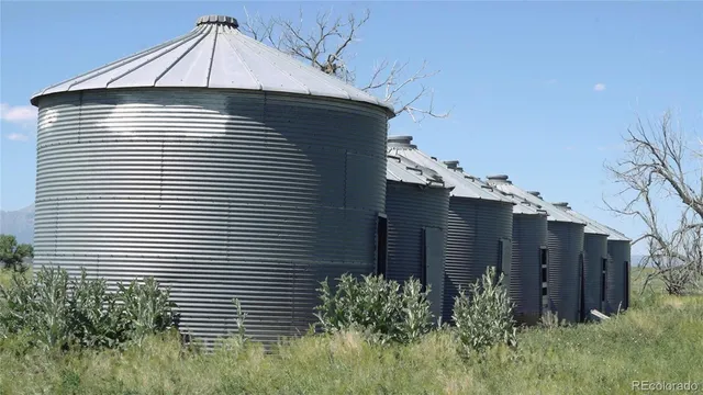 a front view of a house with plants
