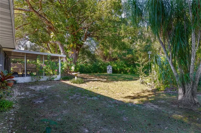 a view of a yard with plants and large trees