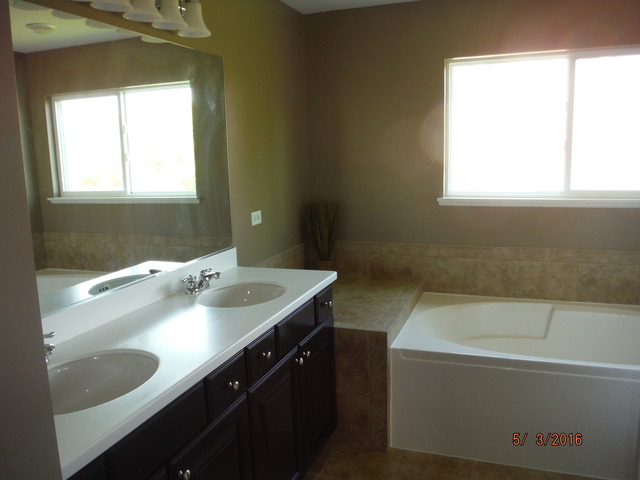 444 Reston Lane Gilberts, IL 60136 - Photo 17 of 25 a bathroom with a sink and a bathtub