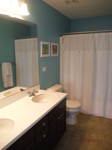 444 Reston Lane Gilberts, IL 60136 - Photo 22 of 25 a bathroom with a sink a toilet and shower