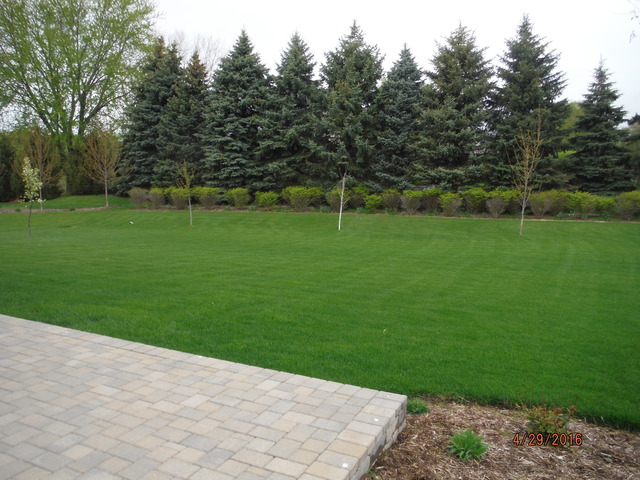 444 Reston Lane Gilberts, IL 60136 - Photo 25 of 25 a view of a park with trees in the background