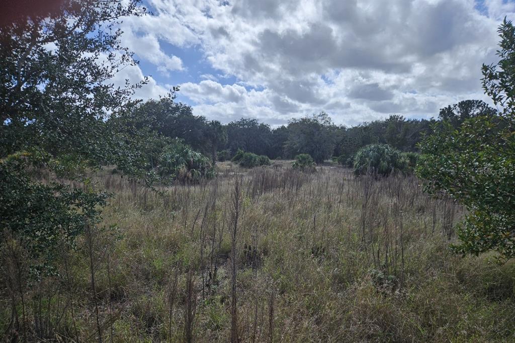 0 Lane Park Road Tavares, FL 32778 - Photo 1 of 1 Gallery Image 1