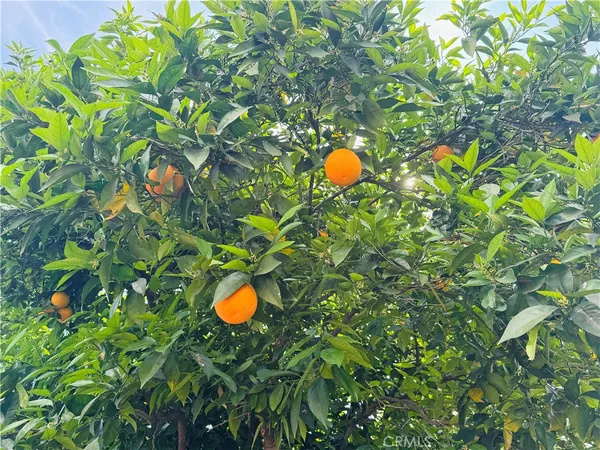 $5,500 | 12538 Collins Street, Valley Village, CA 91607