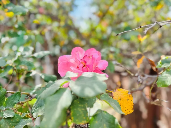 $5,500 | 12538 Collins Street, Valley Village, CA 91607