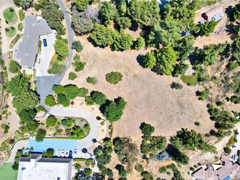 an outdoor view with a lot of flower