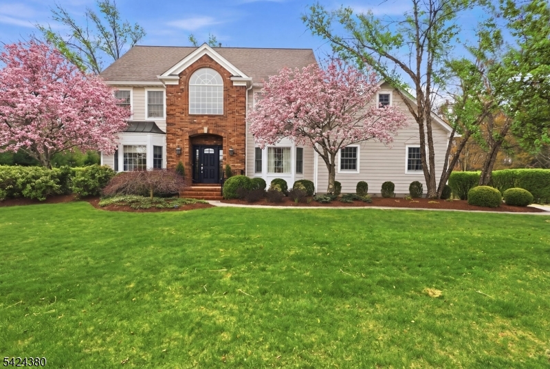 a front view of house with yard and green space
