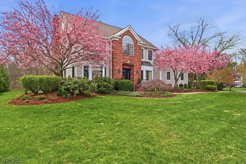 13 O'Brien Court Bedminster, NJ 07921 - Photo 2 of 50 a front view of house with yard and green space