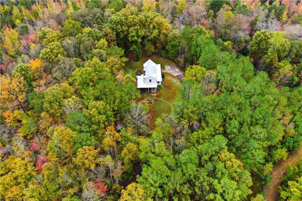 2197 Damascus Road Ball Ground, GA 30107 - Photo 11 of 39