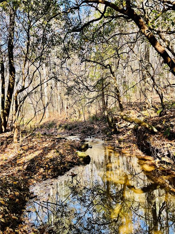 2197 Damascus Road Ball Ground, GA 30107 - Photo 8 of 39
