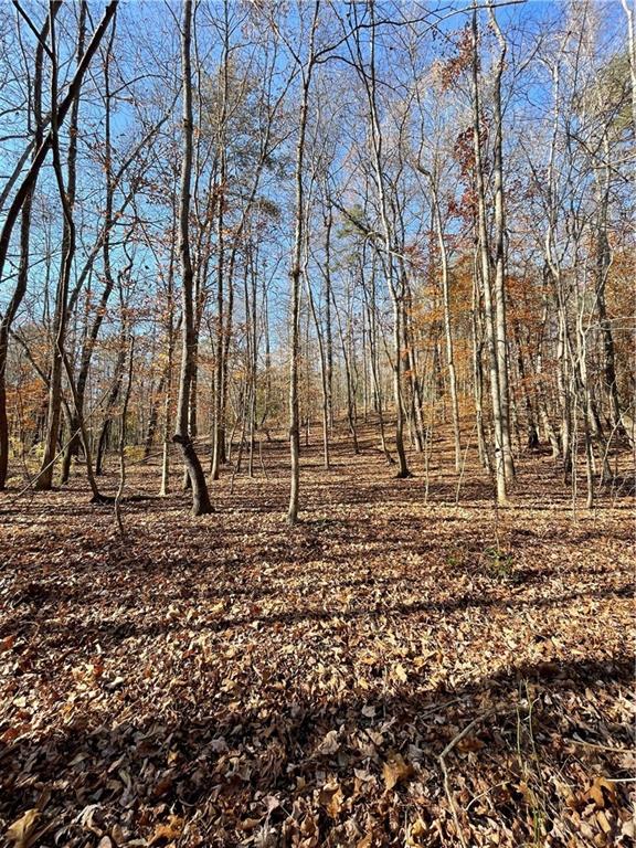 2197 Damascus Road Ball Ground, GA 30107 - Photo 9 of 39