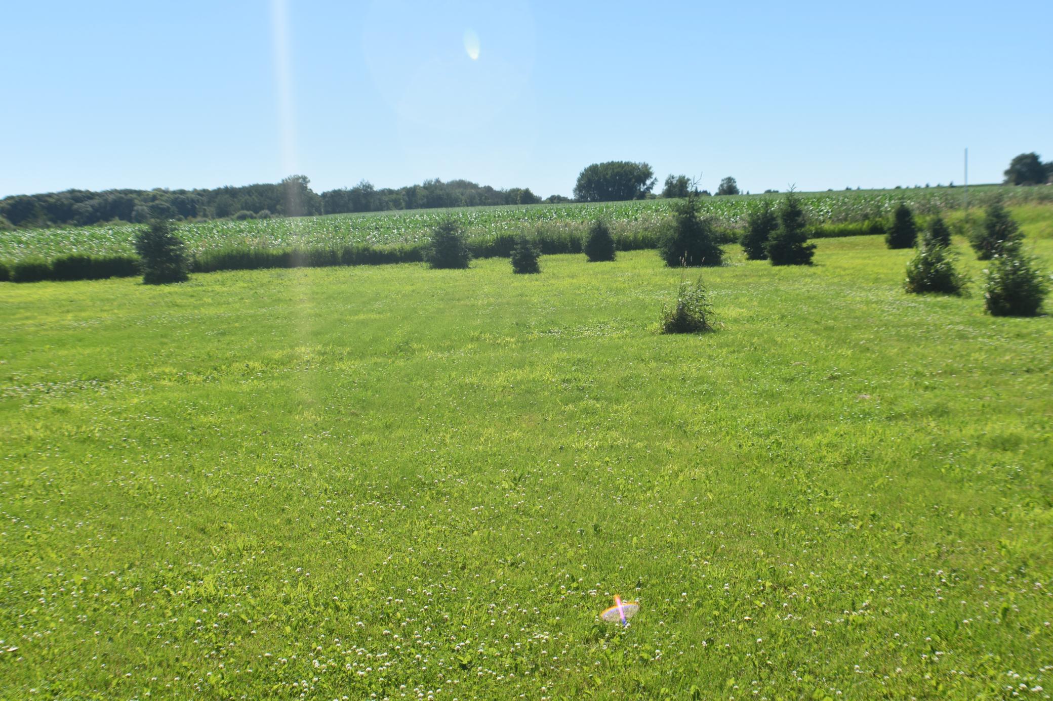 1342 Calvary Road Southeast Osakis, MN 56360 - Photo 5 of 29