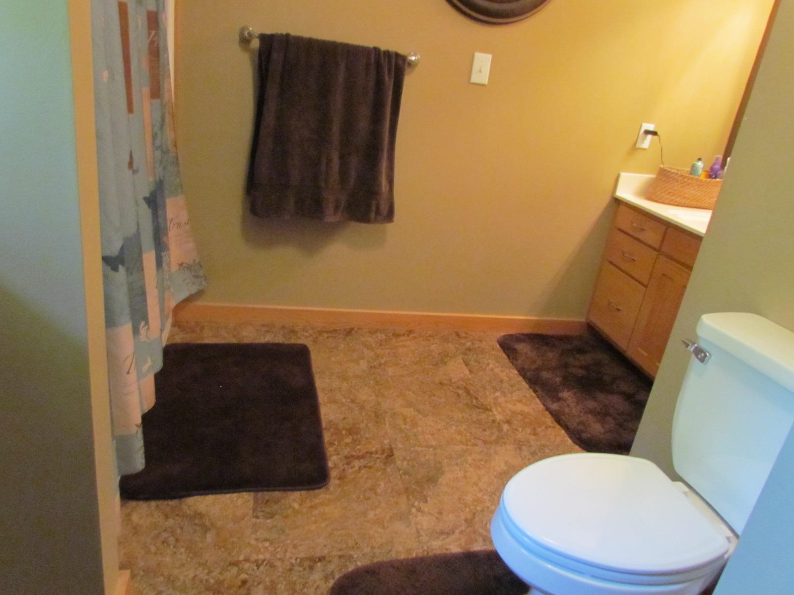 81 Jamison Mill Road Henry, VA 24102 - Photo 16 of 28 a bathroom with a toilet and a sink