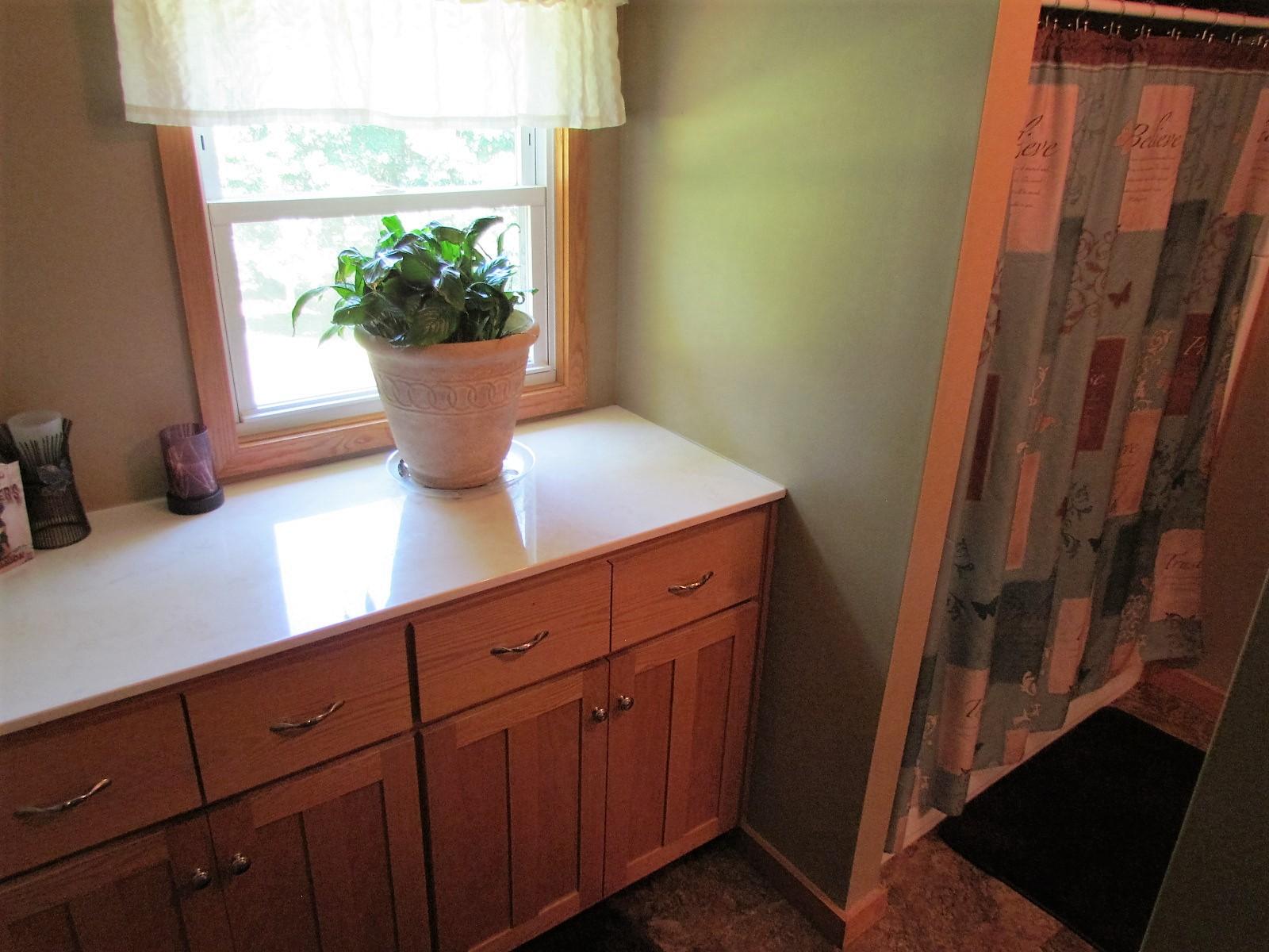 81 Jamison Mill Road Henry, VA 24102 - Photo 18 of 28 a view of bathroom with a potted plant