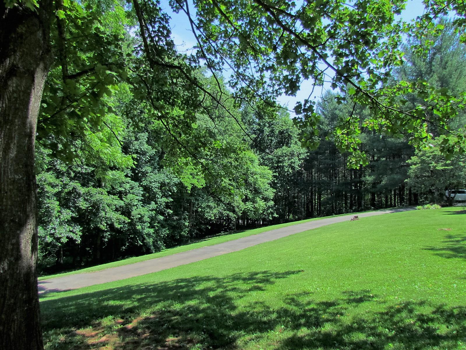 81 Jamison Mill Road Henry, VA 24102 - Photo 23 of 28 a view of a field with a tree in the background