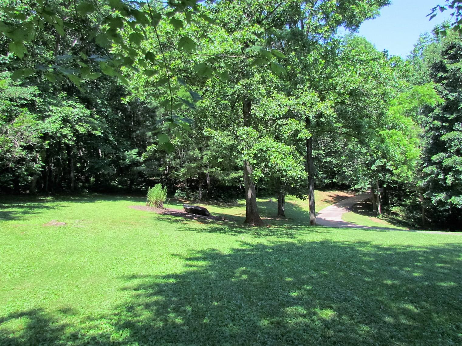 81 Jamison Mill Road Henry, VA 24102 - Photo 26 of 28 a view of a backyard with a small park