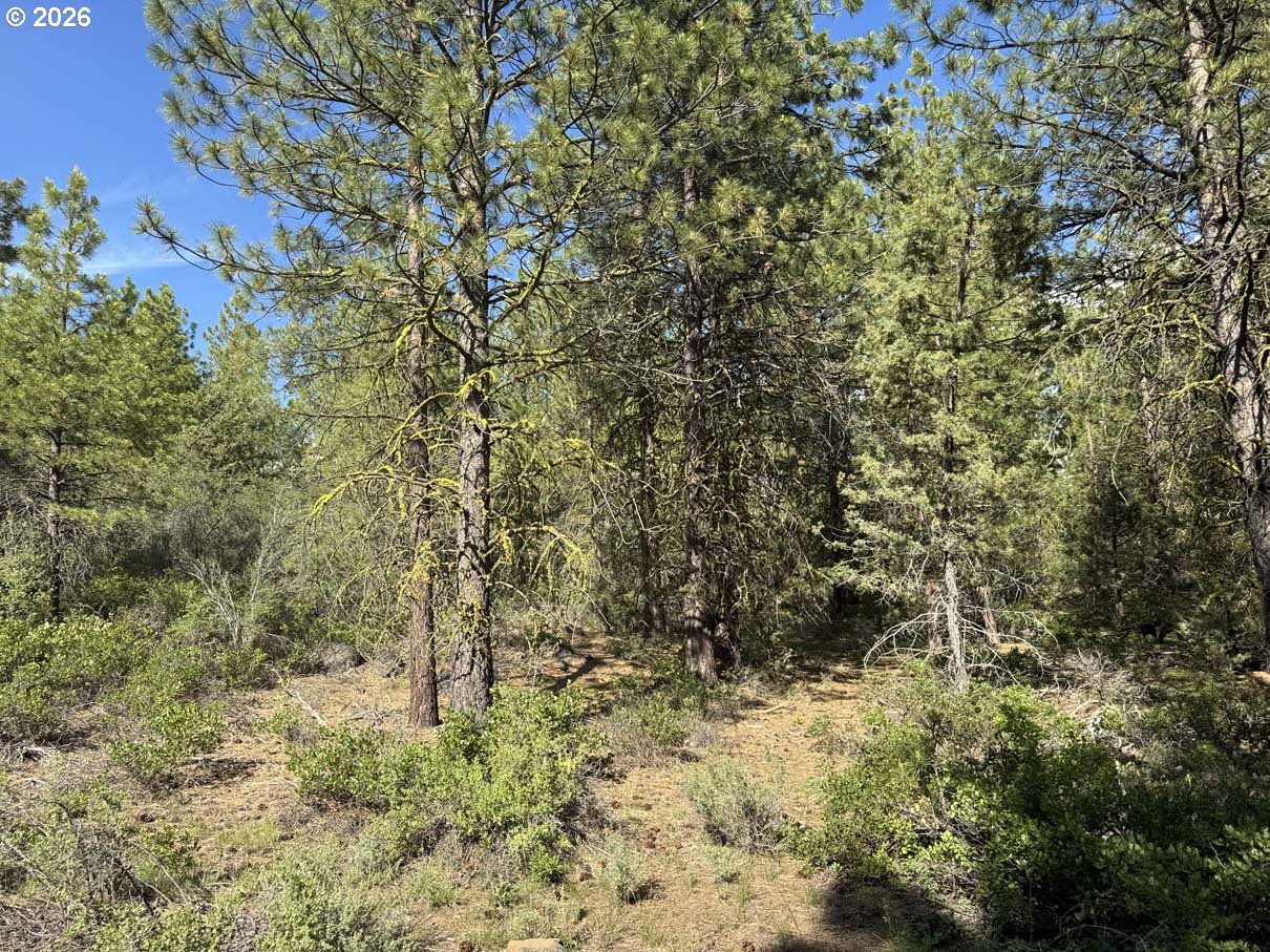 Bunting Way, Unit 32 Bonanza, OR 97623 - Photo 25 of 45