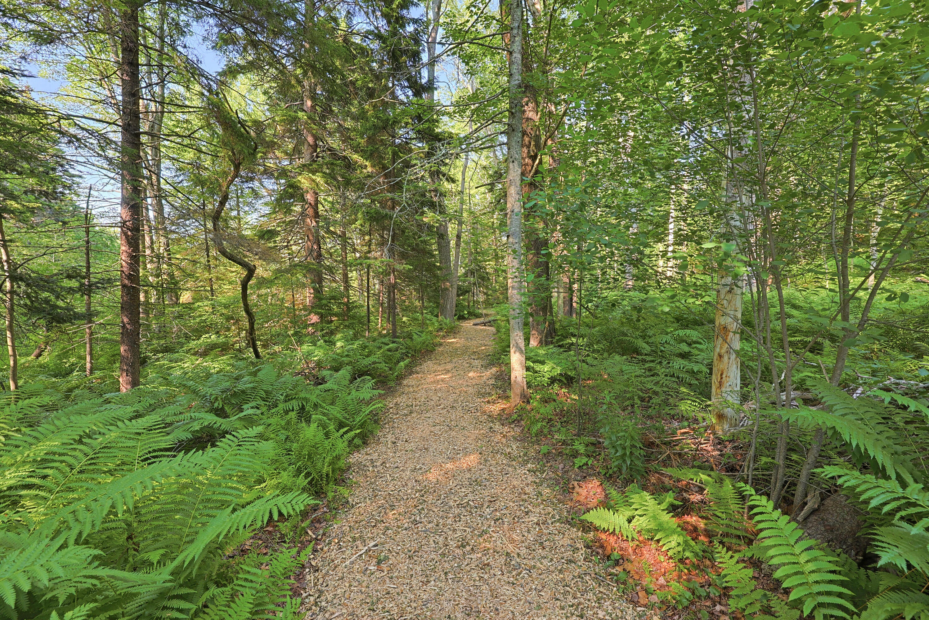 339 Fowler Road Cape Elizabeth, ME 04107 - Photo 55 of 73 IMG_3318