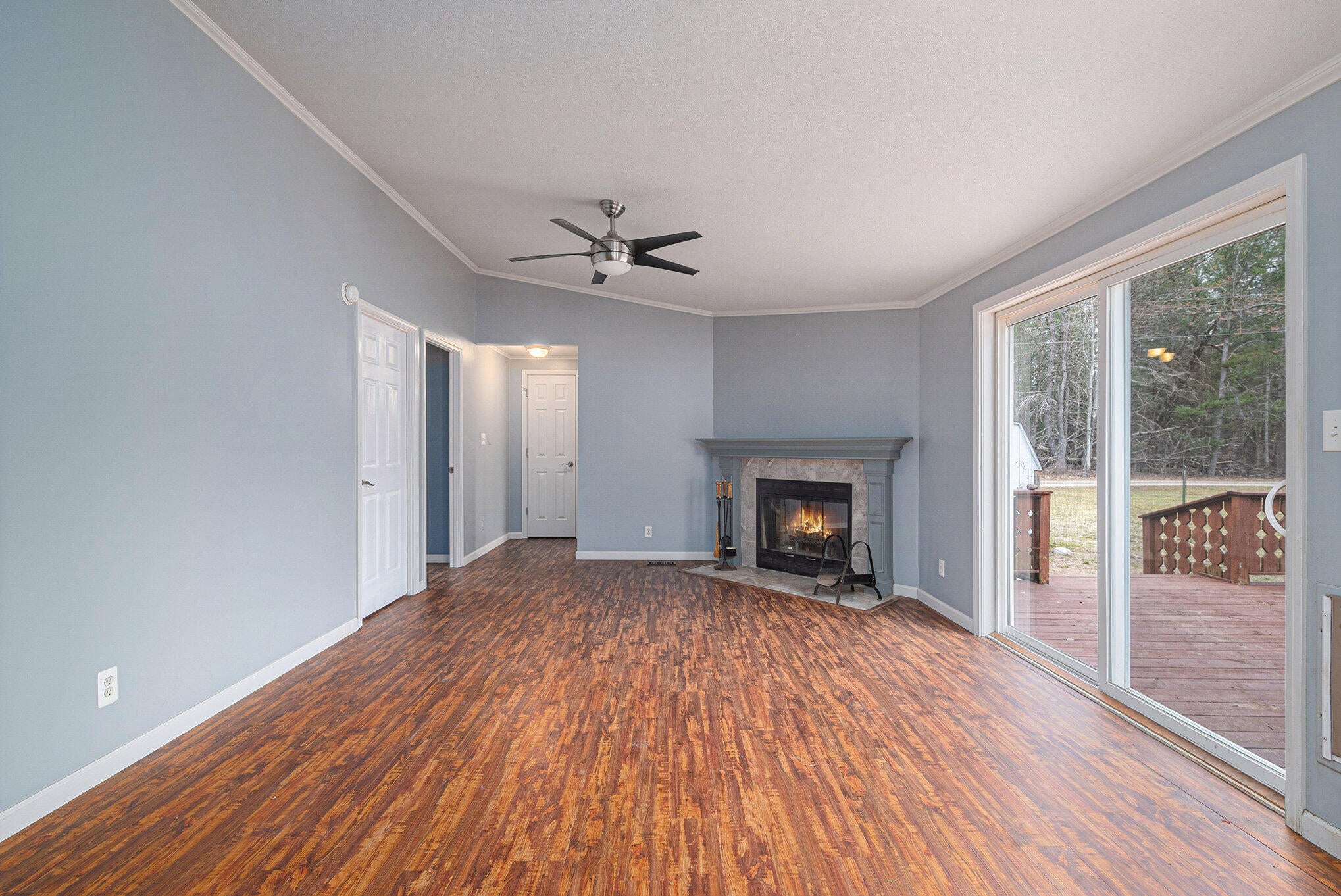 Gallery Image 7