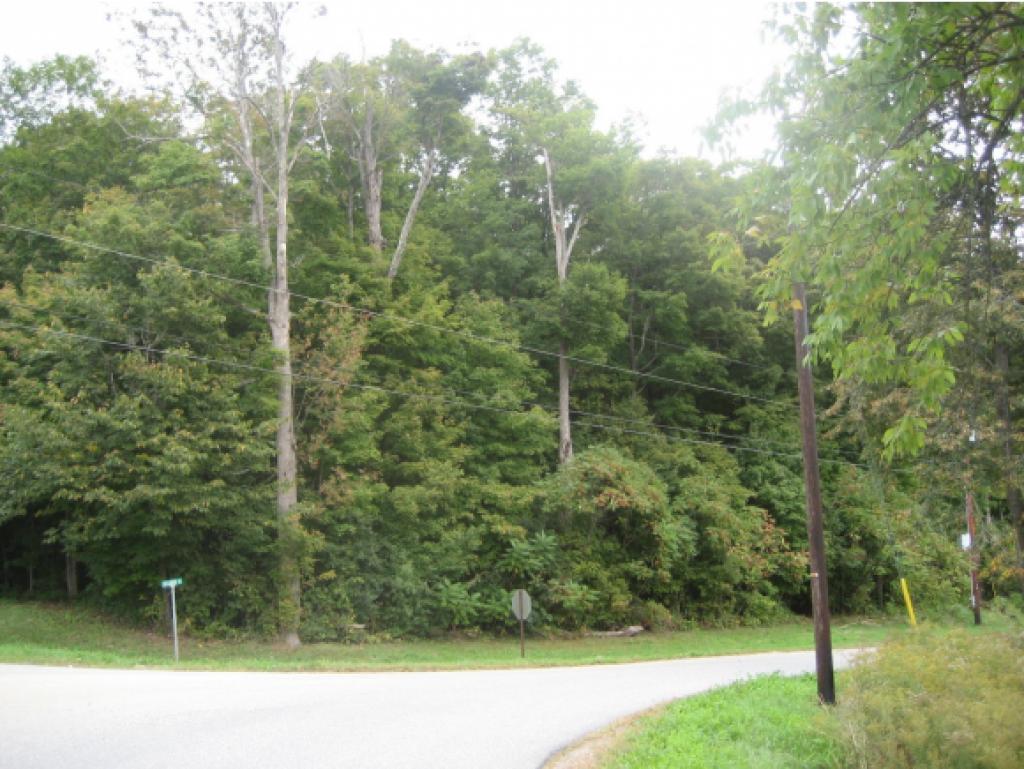 0 Delorm Road Leicester, VT 05733 - Photo 2 of 4 Gallery Image 2