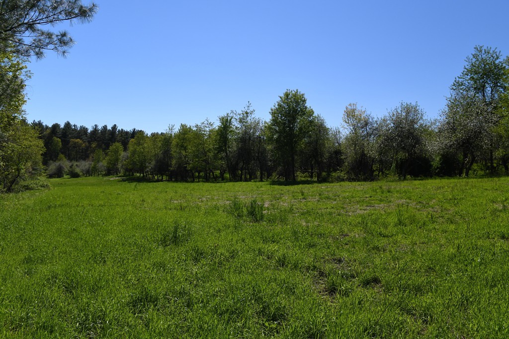 184 Federal Hill Road Hollis, NH 03049 - Photo 17 of 36 Gallery Image 17