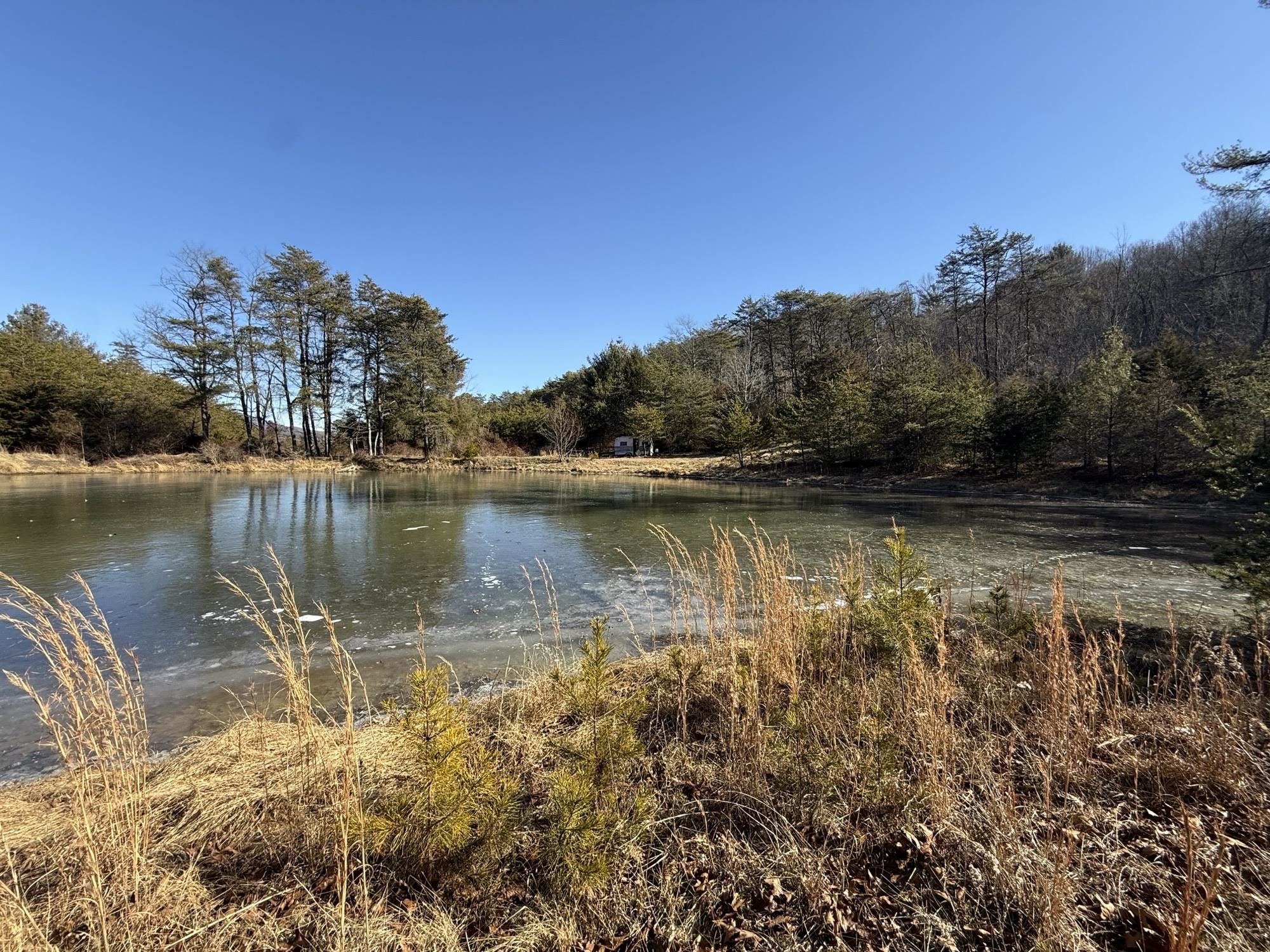 493 Railroad Avenue Goshen, VA 24439 - Photo 31 of 66 a view of lake