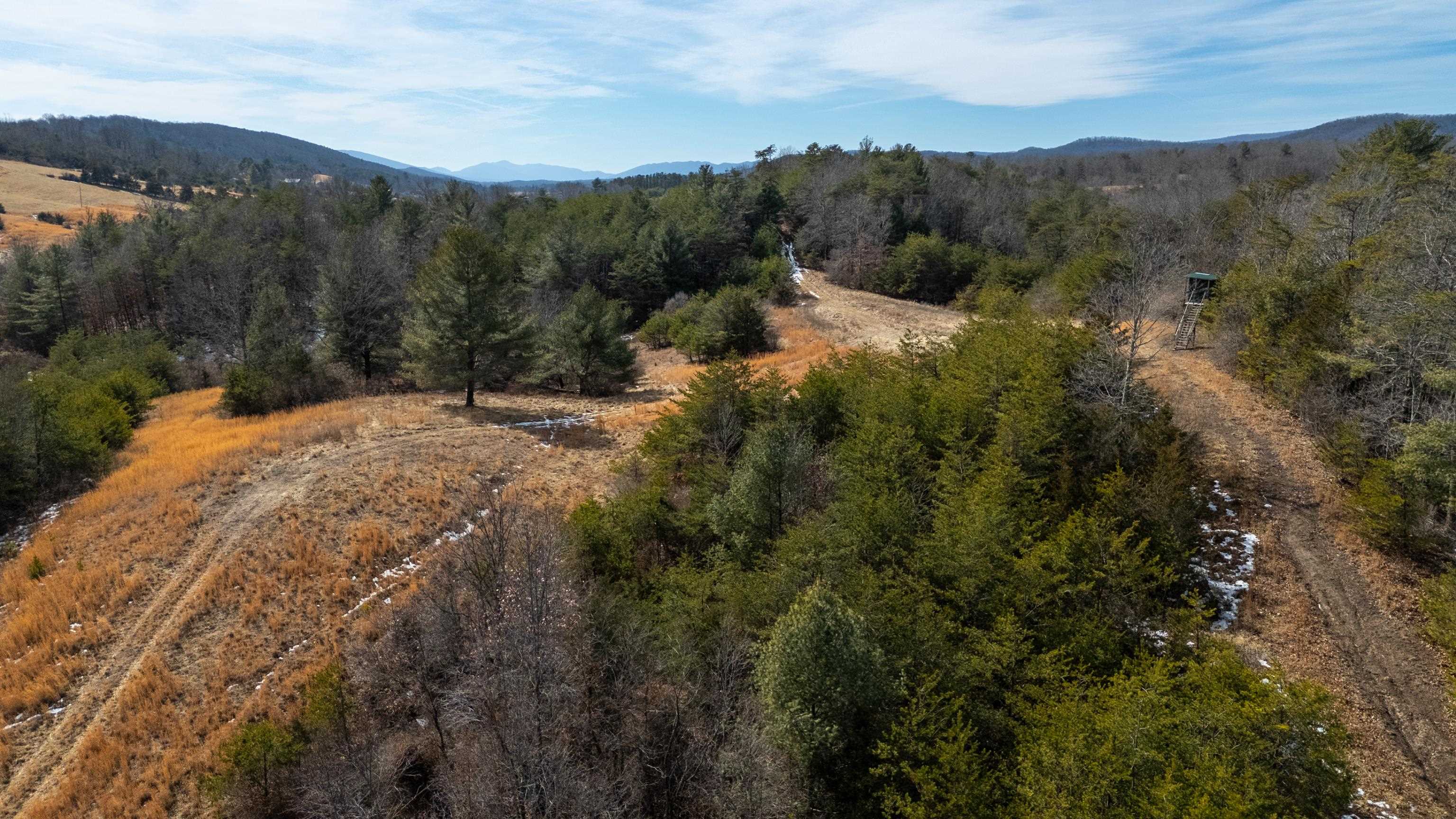 493 Railroad Avenue Goshen, VA 24439 - Photo 54 of 66 a view of a mountain range with trees in the background