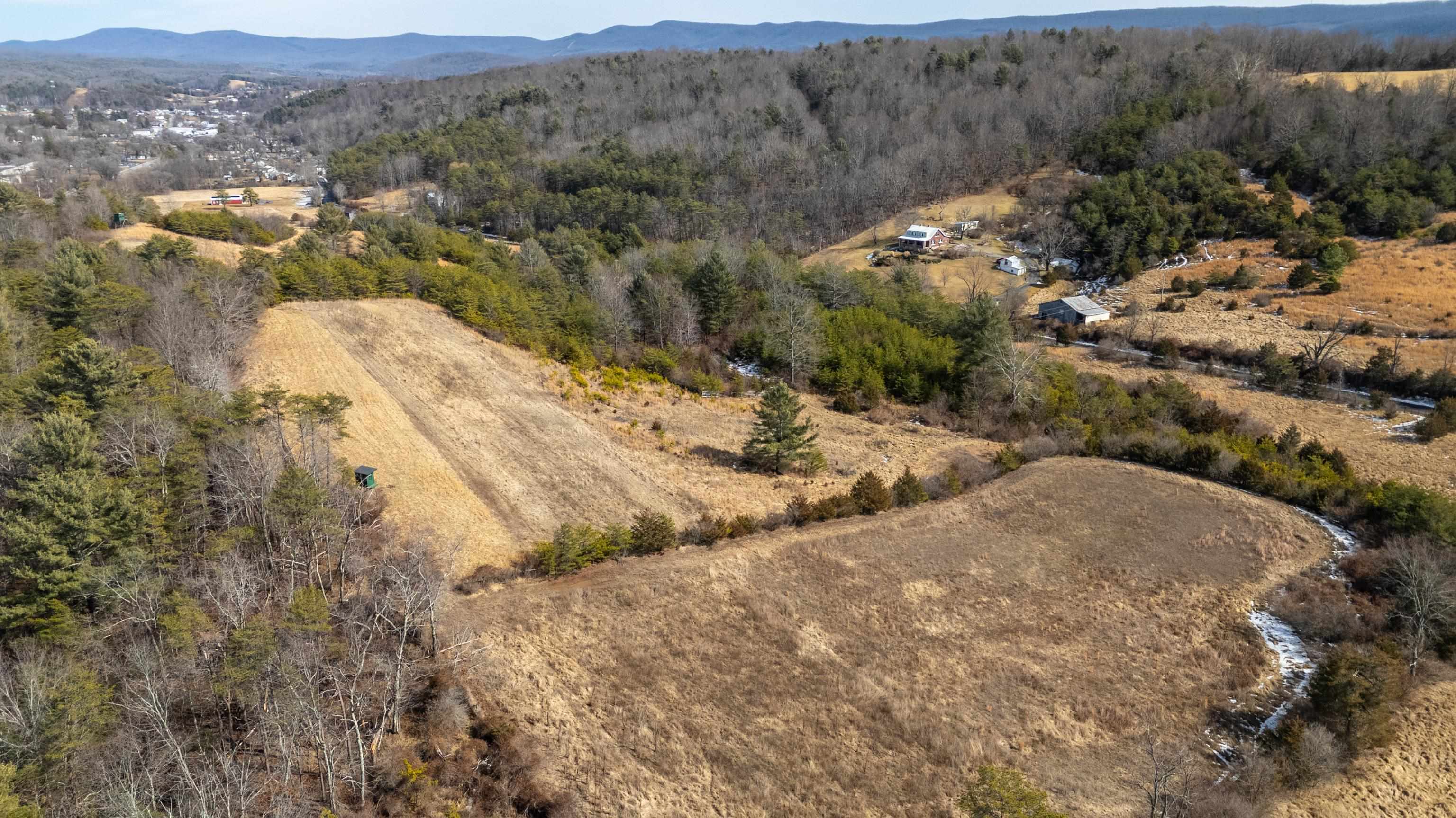 493 Railroad Avenue Goshen, VA 24439 - Photo 63 of 66 a view of a backyard of a house