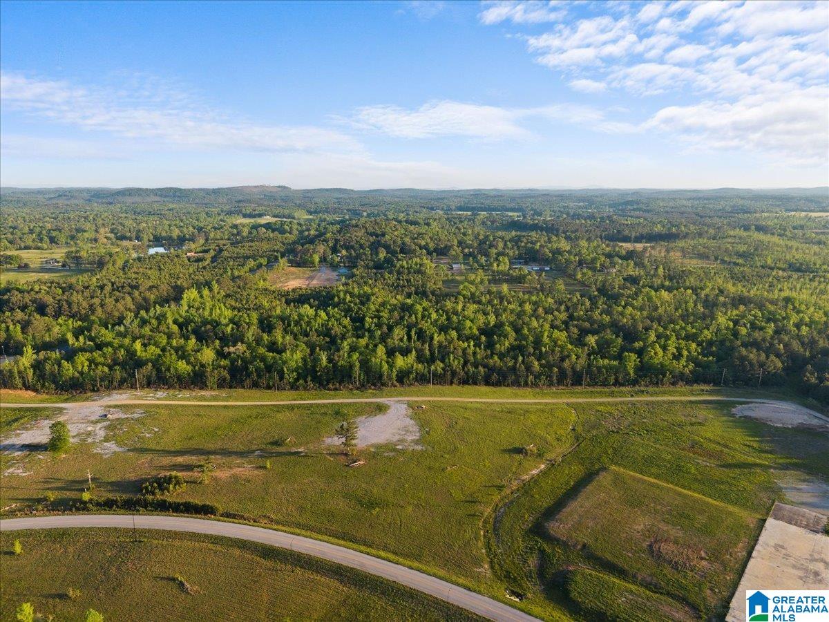 77 Ohatchee Al Ohatchee, AL 36271 - Photo 6 of 8