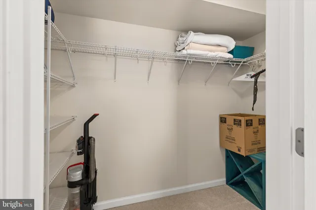 a view of a lake with a city skyline in the background