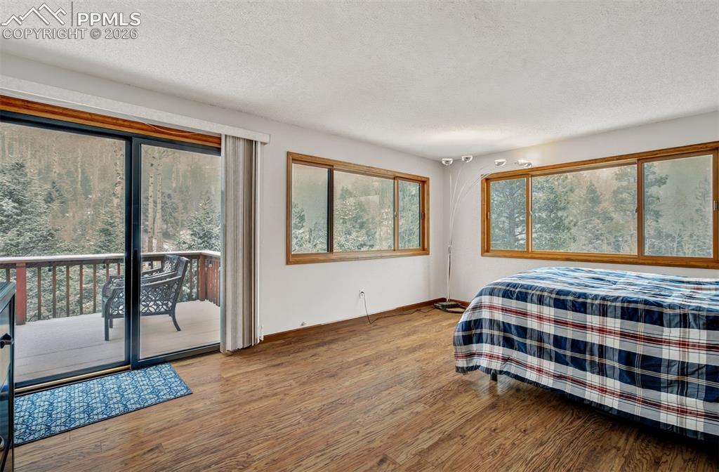 5865 Waterfall Loop Manitou Springs, CO 80829 - Photo 16 of 45 Primary bedroom highlighting the walk out to the private back deck!!!