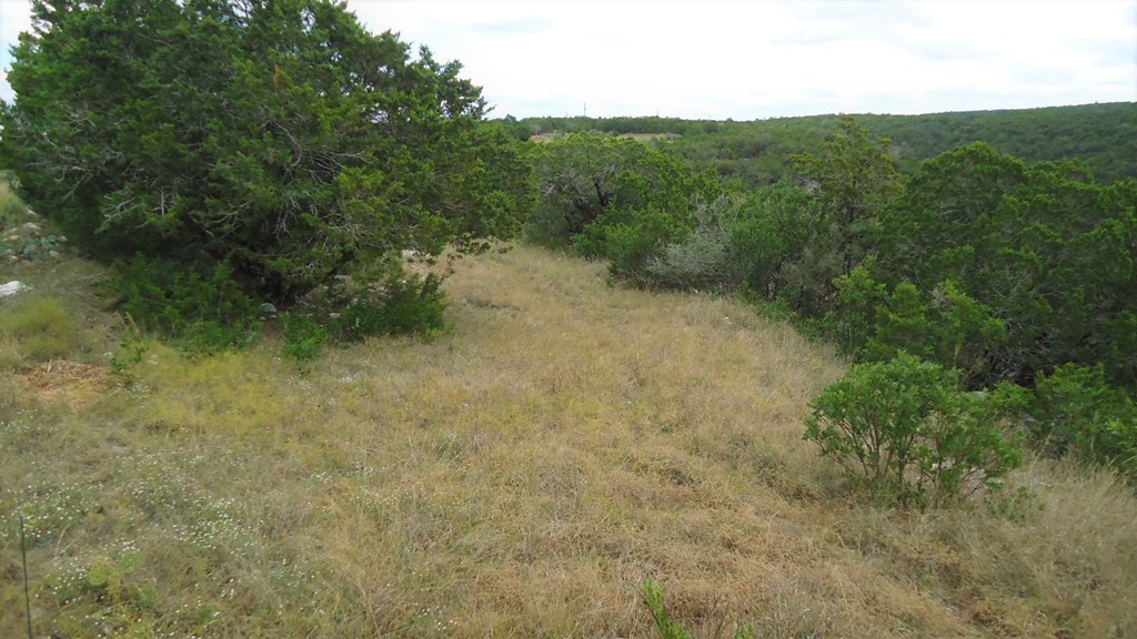 229 Pinon Loop East Camp Wood, TX 78833 - Photo 6 of 24