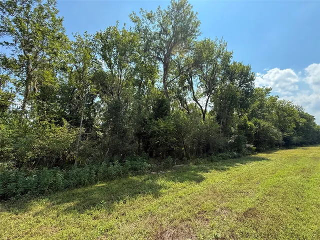 a view of backyard with green space