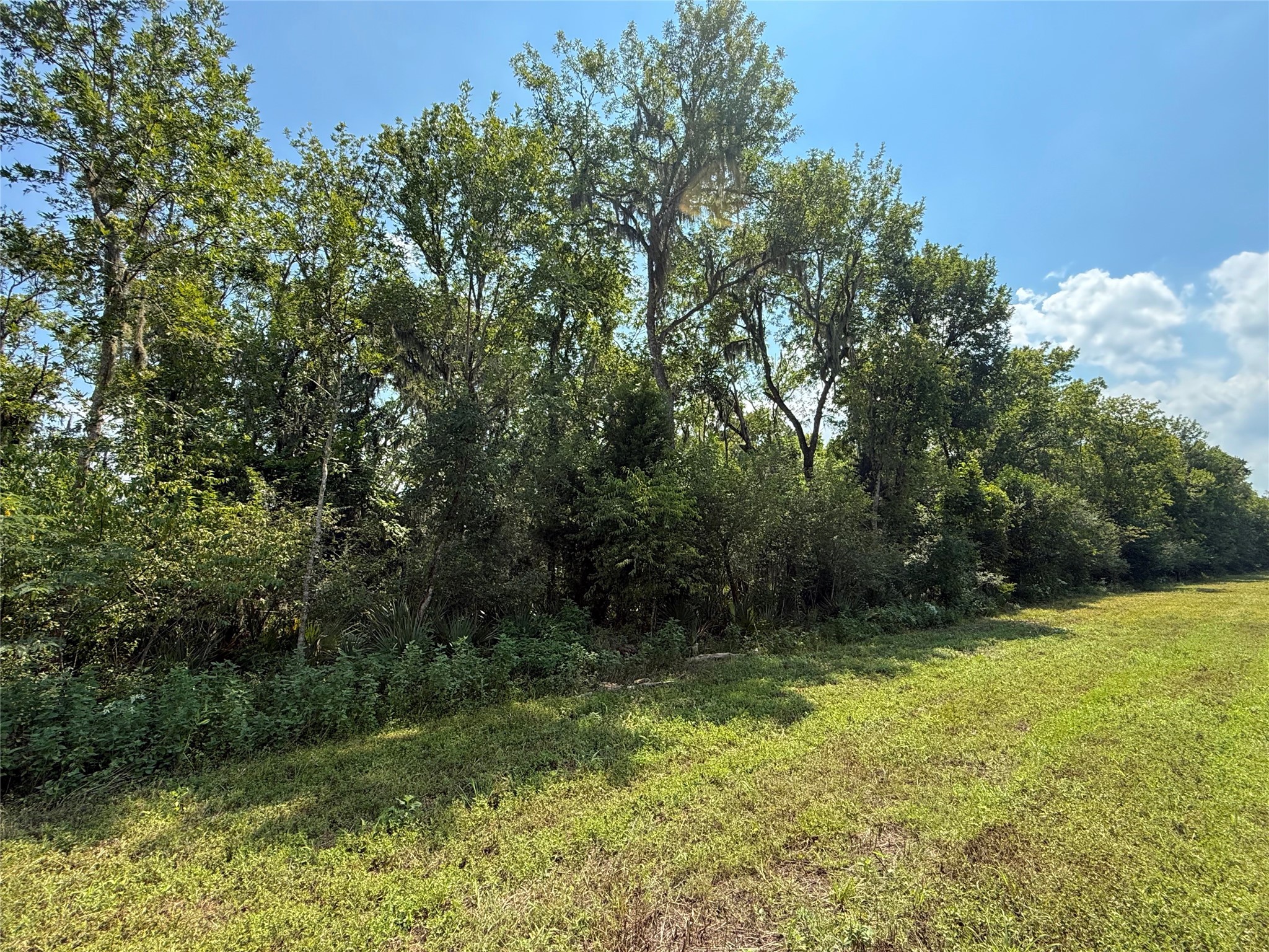 5401-1 County Road 334 Sweeny, TX 77480 - Photo 3 of 8 a view of backyard with green space