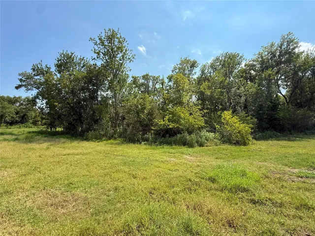 a view of a field with an trees