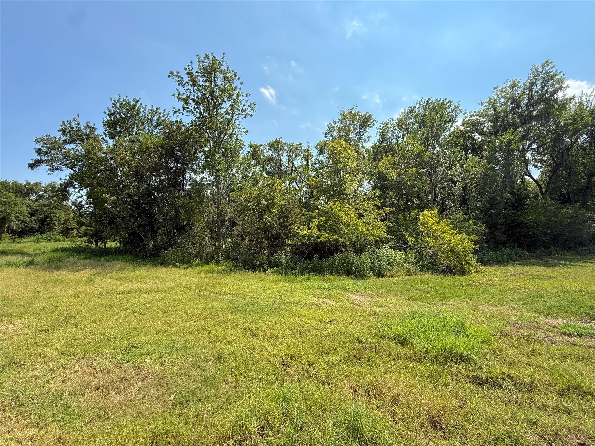 5401-1 County Road 334 Sweeny, TX 77480 - Photo 4 of 8 a view of a field with an trees