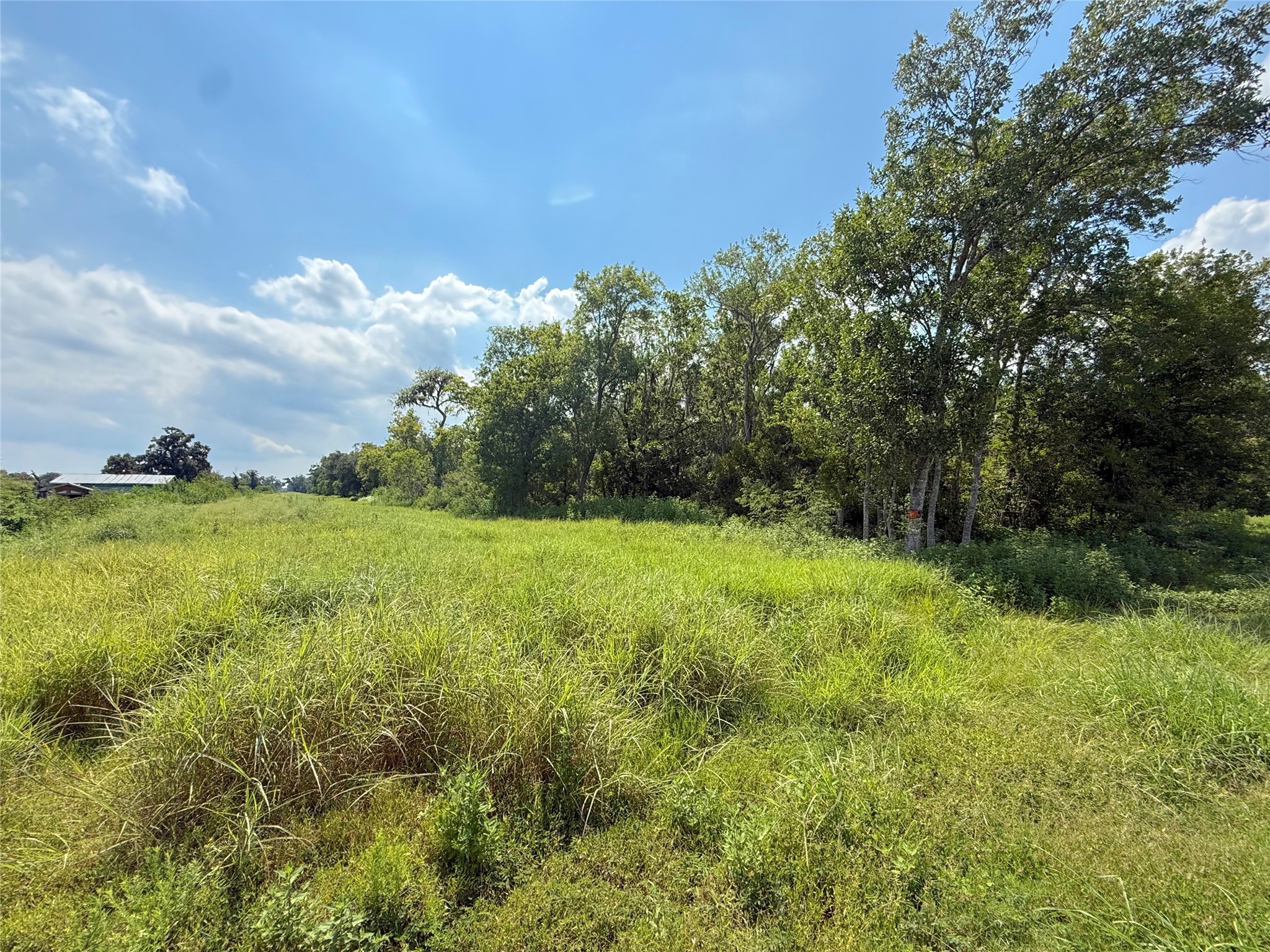 5401-1 County Road 334 Sweeny, TX 77480 - Photo 5 of 8 a backyard of a house with lots of green space