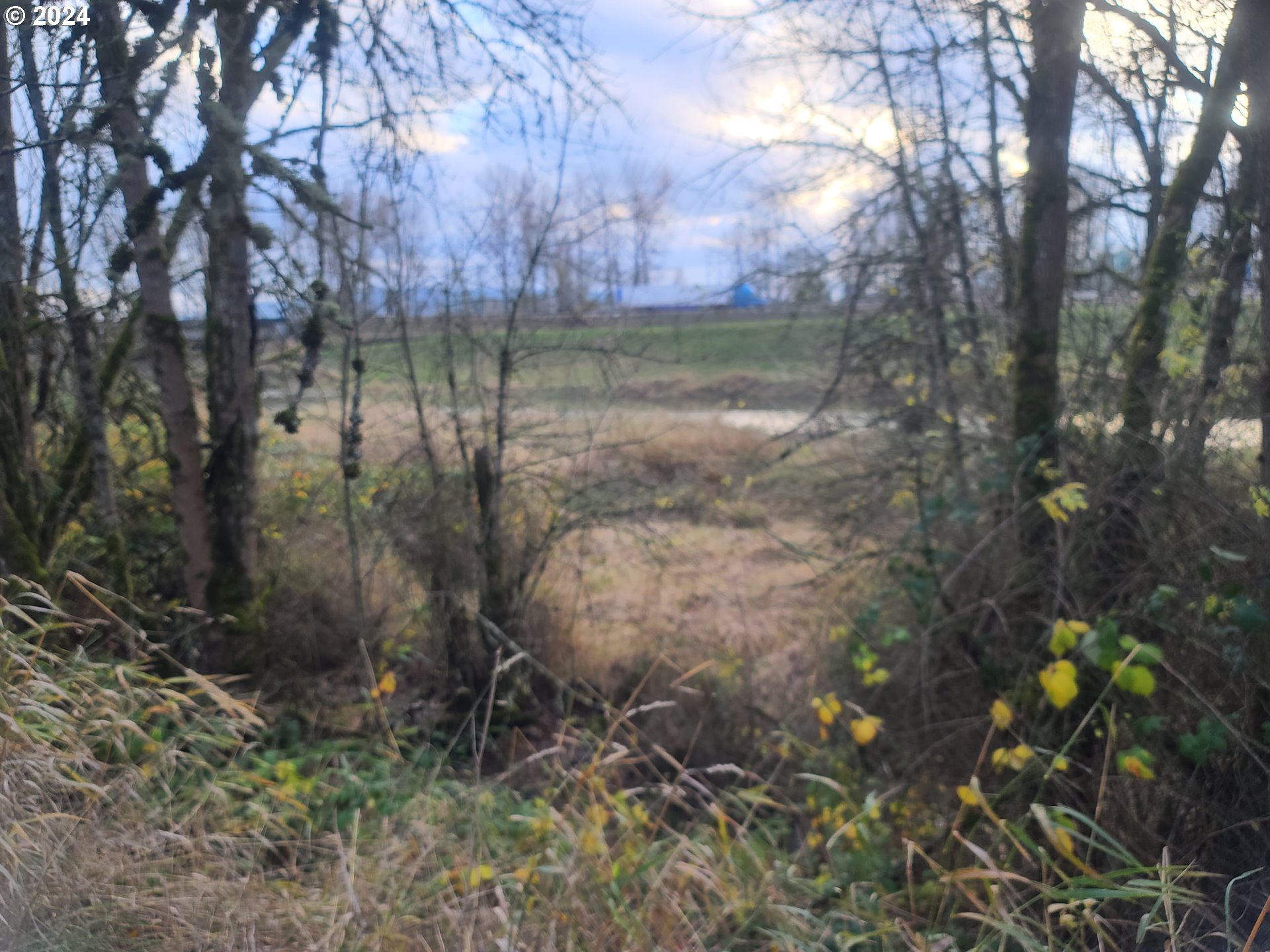 0 Grade Street Kelso, WA 98626 - Photo 4 of 8 a backyard of a house with lots of green space
