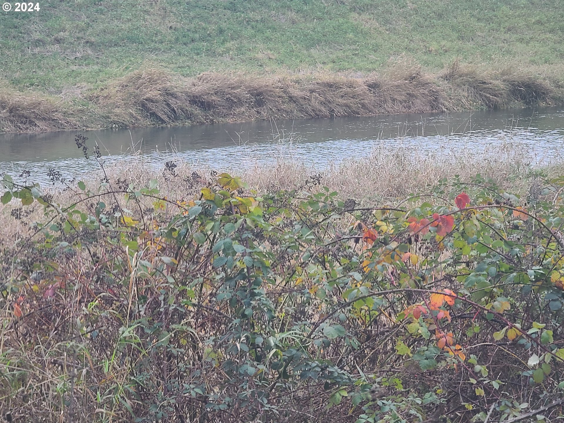 0 Grade Street Kelso, WA 98626 - Photo 6 of 8