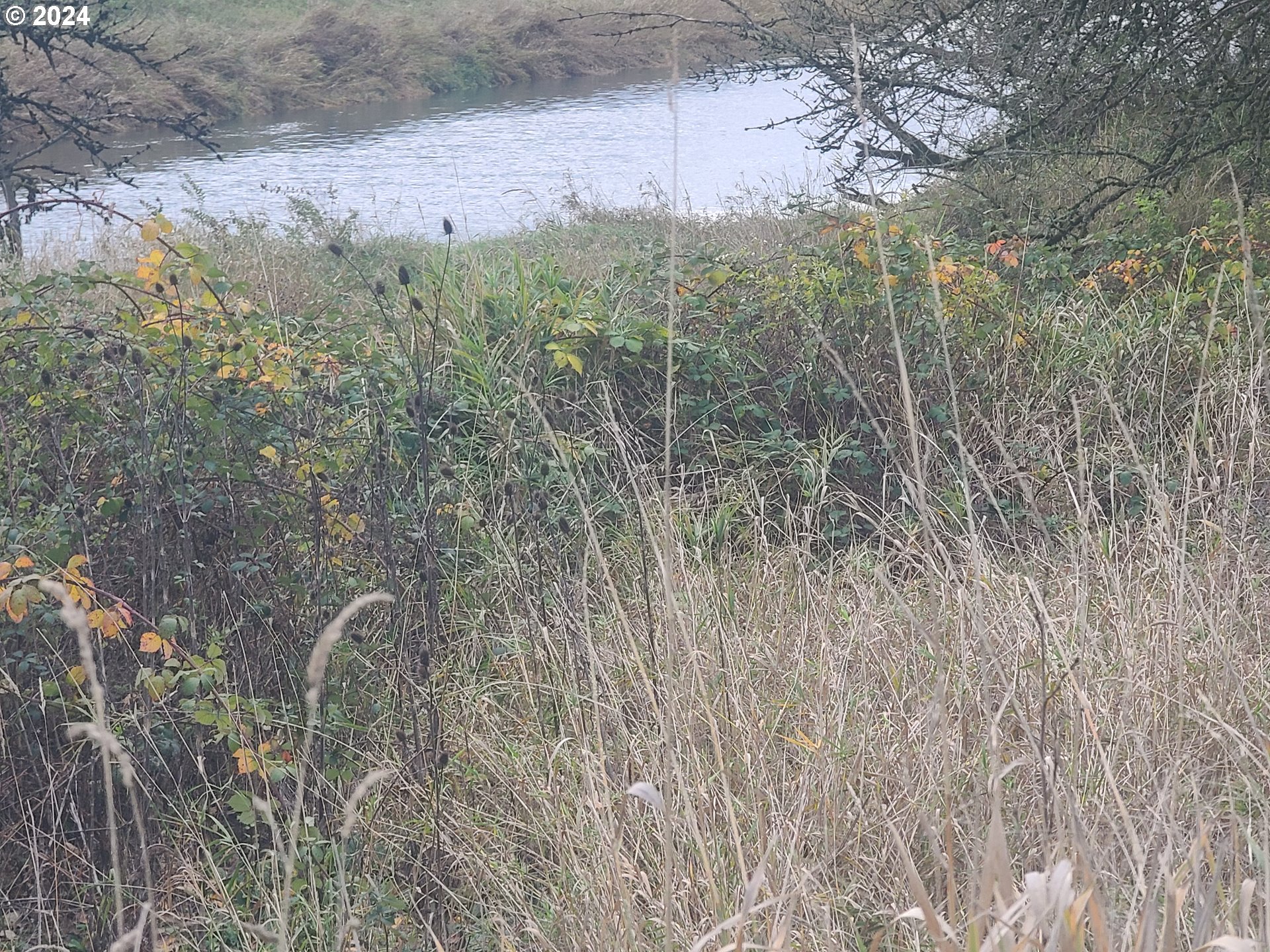 0 Grade Street Kelso, WA 98626 - Photo 7 of 8 a view of a dry yard